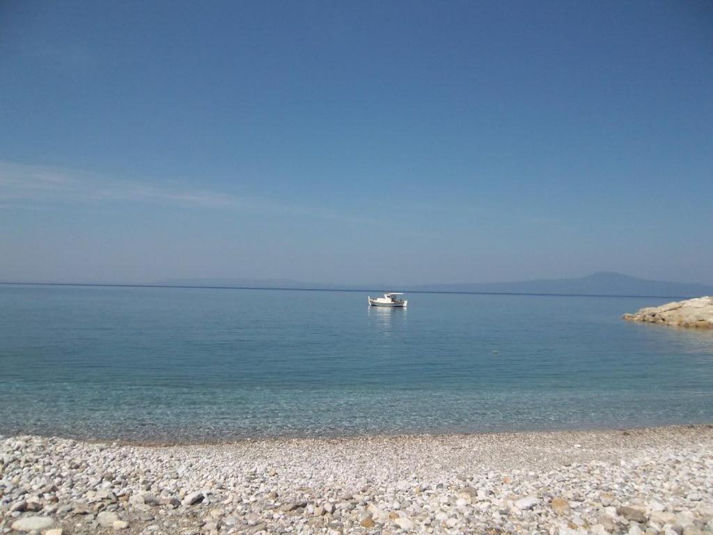Amber Seaview Villa By The Olive Groves Kalamata Exteriör bild